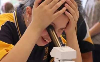 Open Night: Showcasing U at Underdale High School