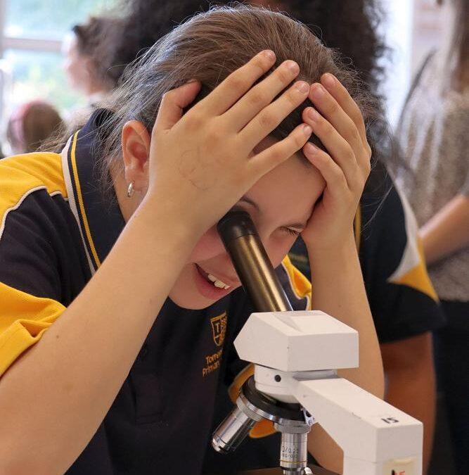 Open Night: Showcasing U at Underdale High School