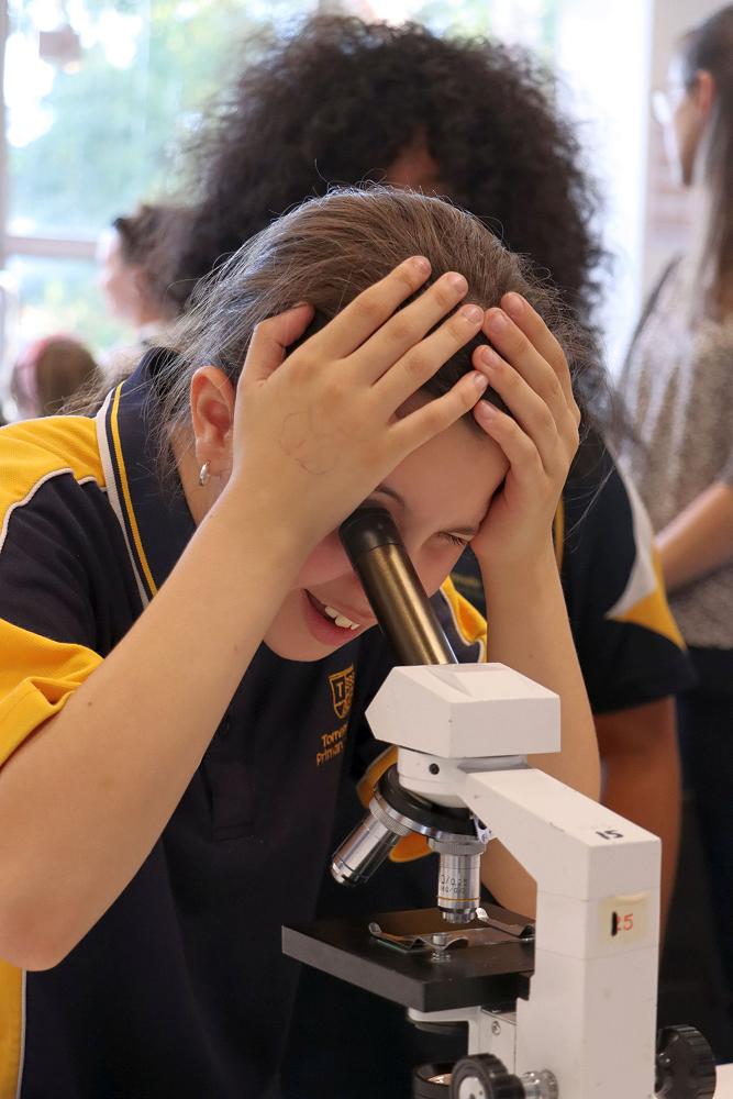 Open Night: Showcasing U at Underdale High School