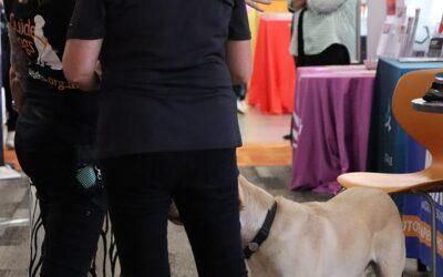 Careers Expo 6th May 2026