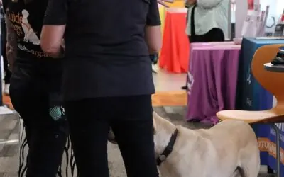 Careers Expo 6th May 2026